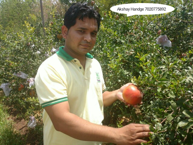 Apple iphone shop Nashik